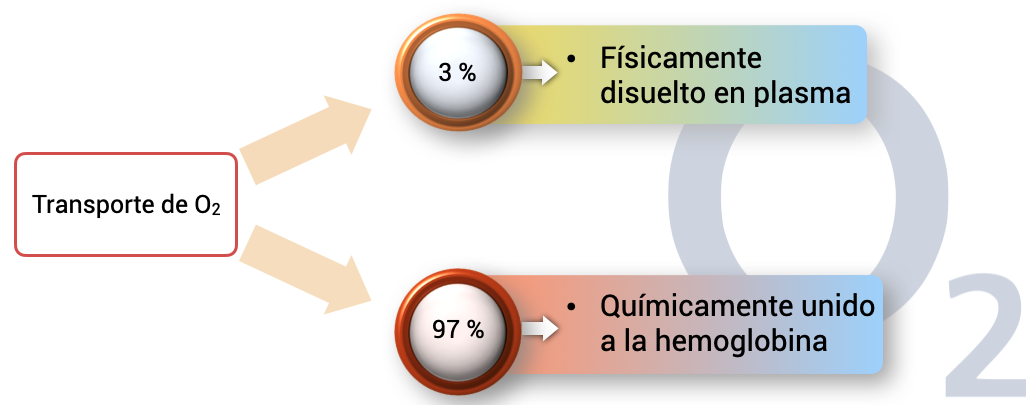 Transporte del oxígeno en la sangre