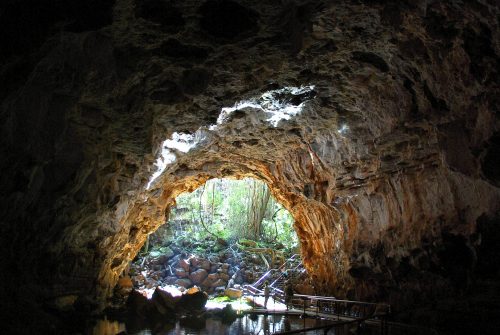 Lee más sobre el artículo Y si buceamos en la cueva?