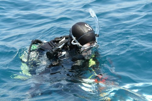 Lee más sobre el artículo Computadoras de Buceo y ED